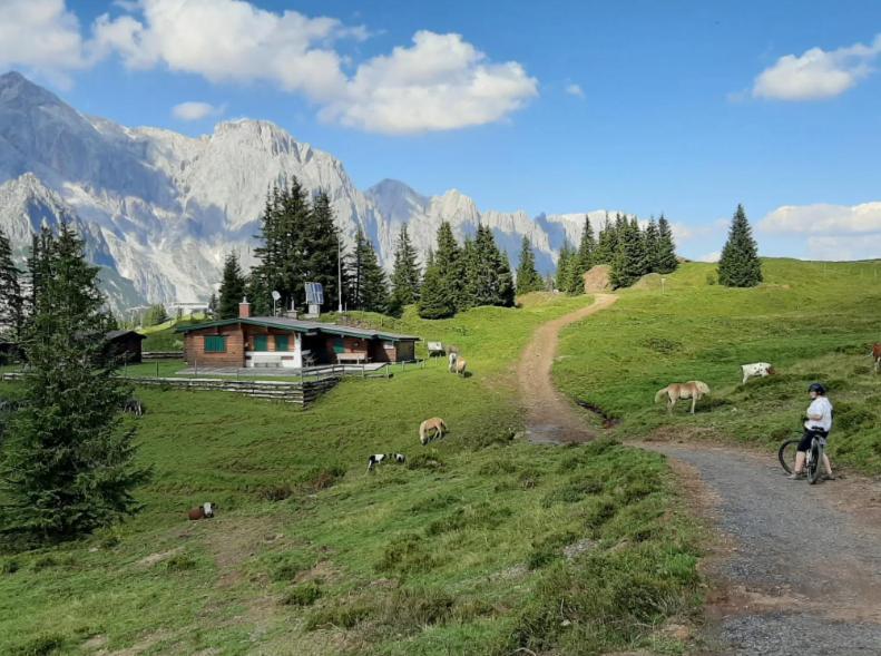 Hochkoenig Ferien Apartment Muhlbach Am Hochkonig Luaran gambar